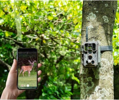 Everything You Need to Know About BlackGate Cameras